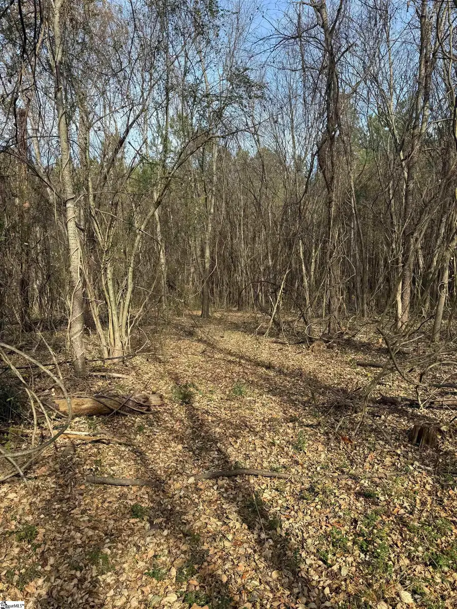 6776 Columbia Highway, Saluda, SC 29138 - Image #3