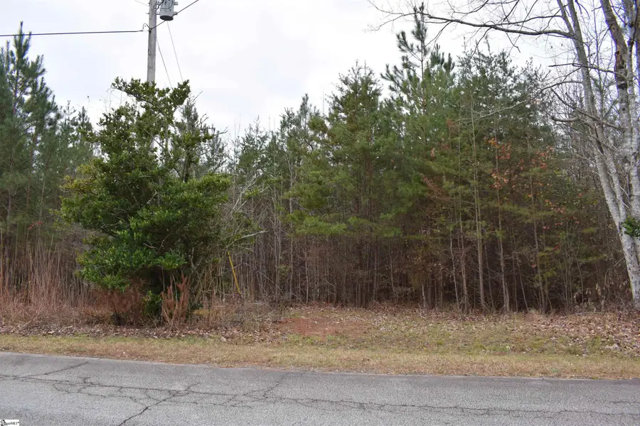 Goforth Road, Landrum, SC 29356 - Image #2