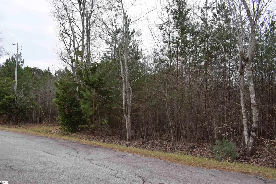 Goforth Road, Landrum, SC 29356 - Image #3