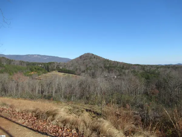 Tracts 34,35,36 Curts Way, Cleveland, SC 29635