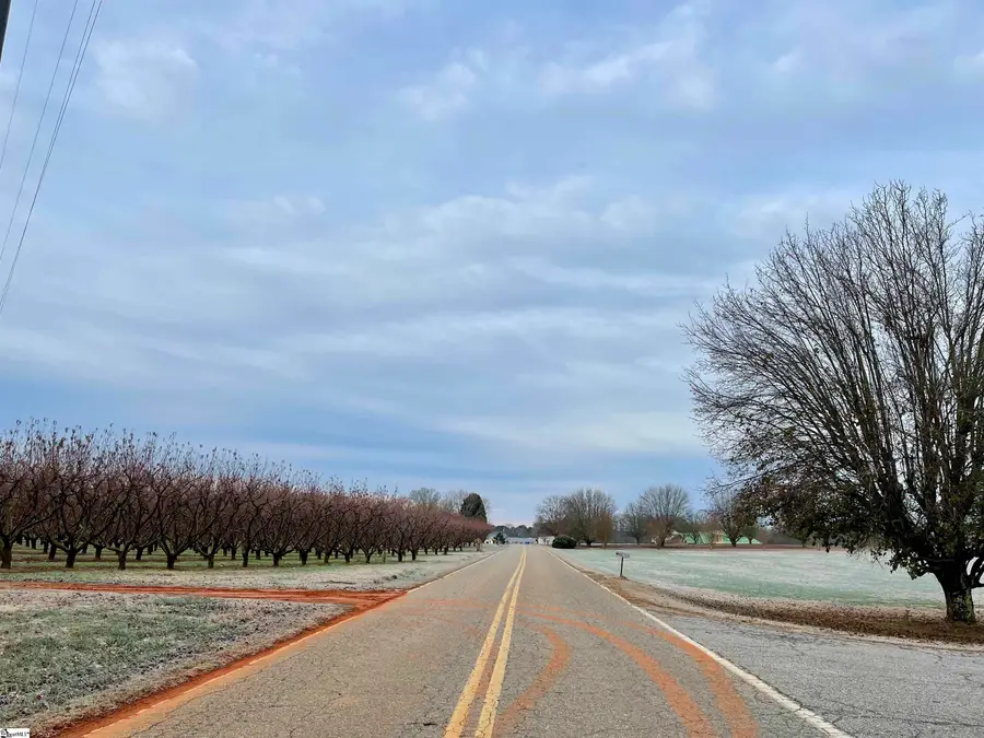 905 Henderson Road, Chesnee, SC 29323 - Image #2