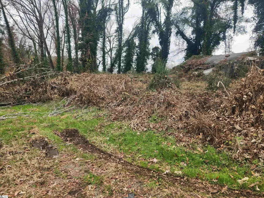 103 Jenkins Place, Clemson, SC 29631 - #2