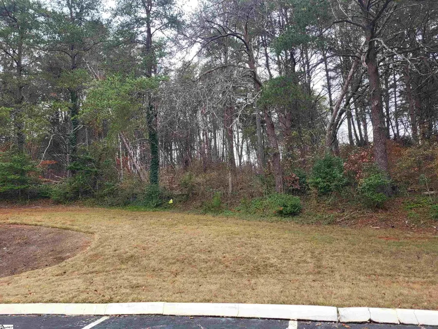 0 Pinecroft Drive, Taylors, SC 29687 - Image #2