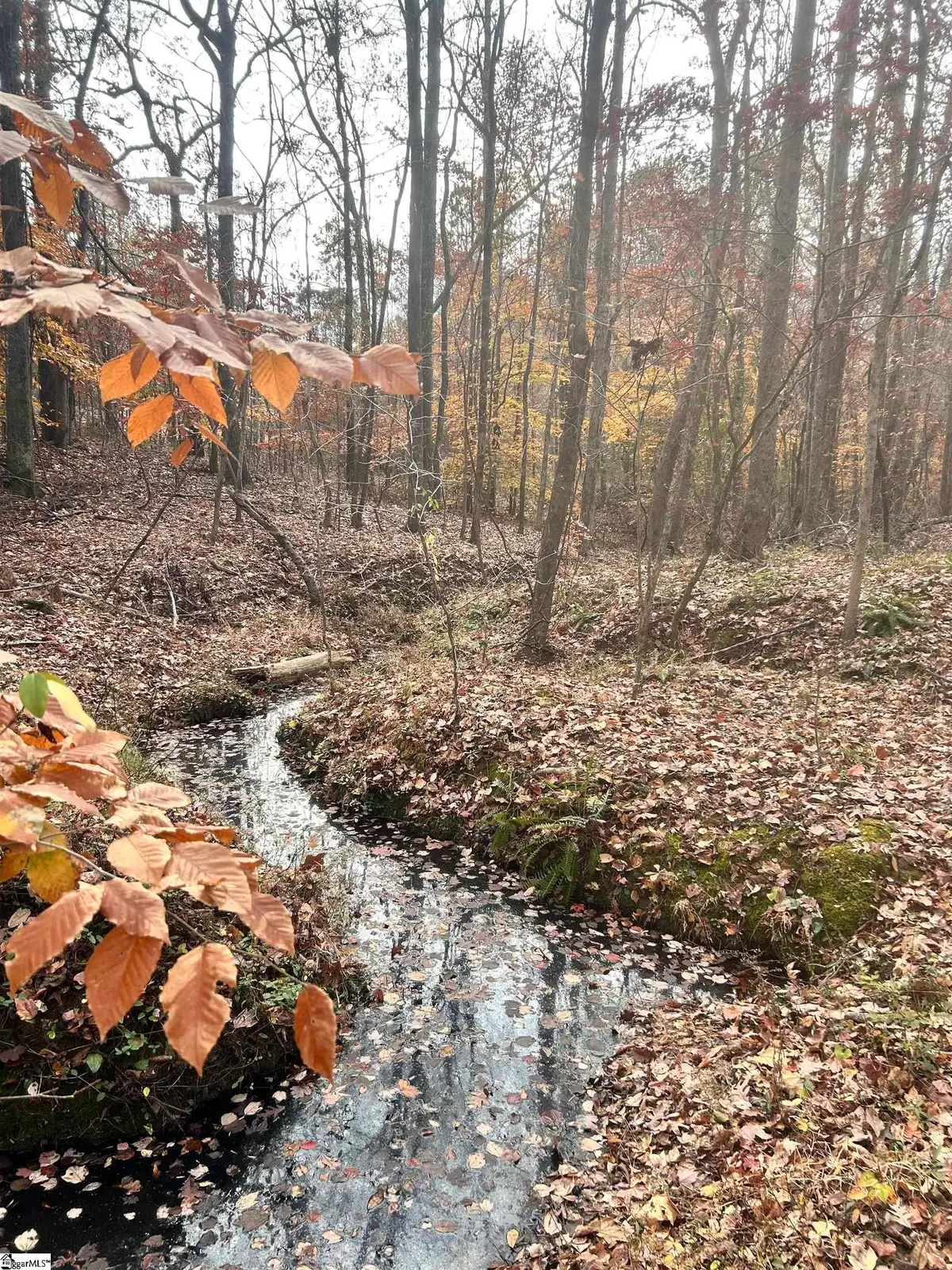 00 Harris Springs Road, Cross Hill, SC 29332 - Image #1