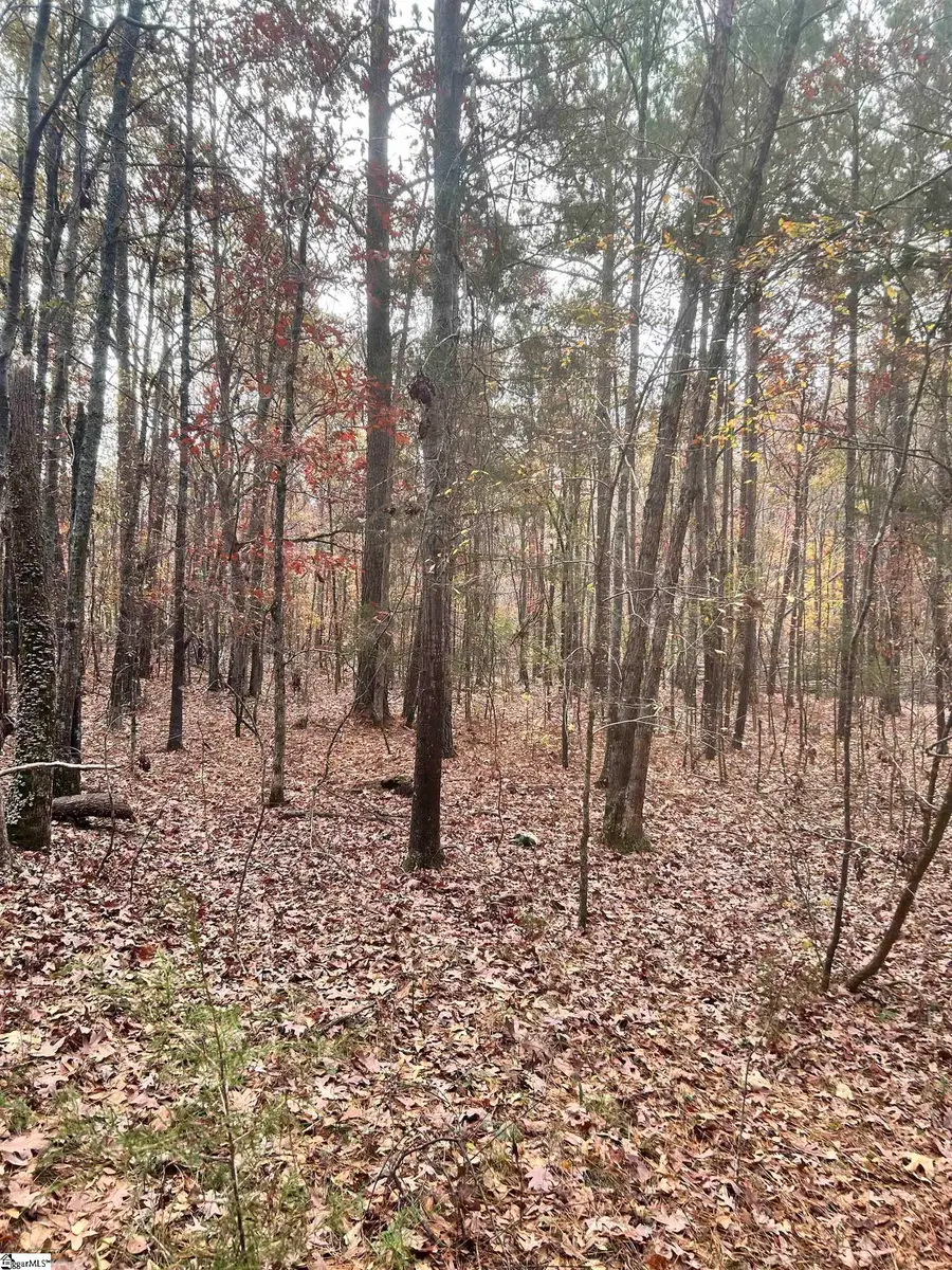 00 Harris Springs Road, Cross Hill, SC 29332 - Image #3