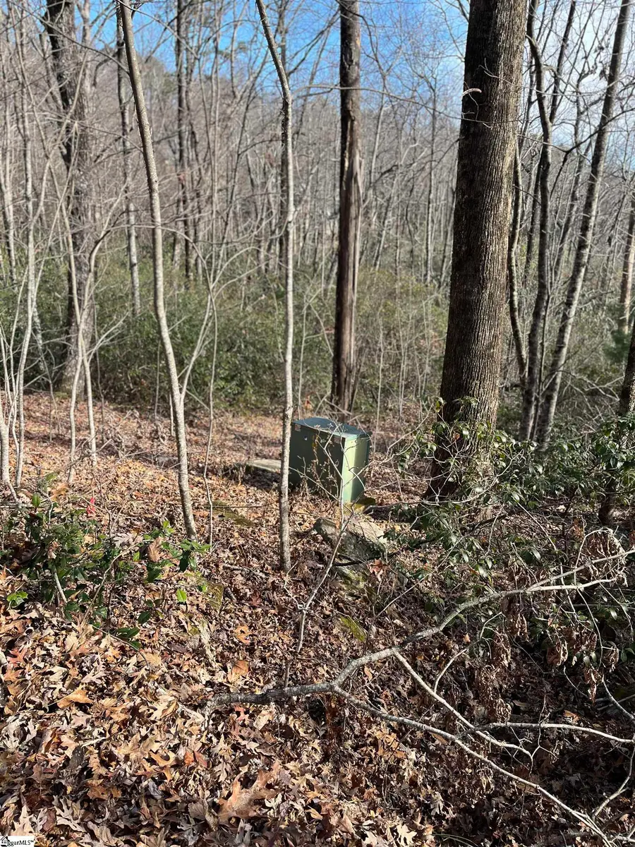 TBD Woodbine Road, Cleveland, SC 29635 - Image #3