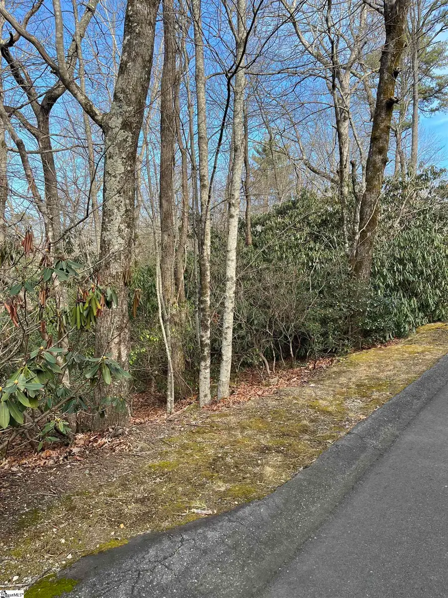 TBD Cliff Ridge Drive, Cleveland, SC 29635 - Image #2