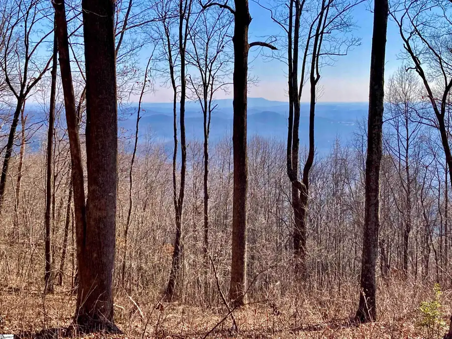 1000 Mountain Summit Road, Travelers Rest, SC 29690 - Image #2