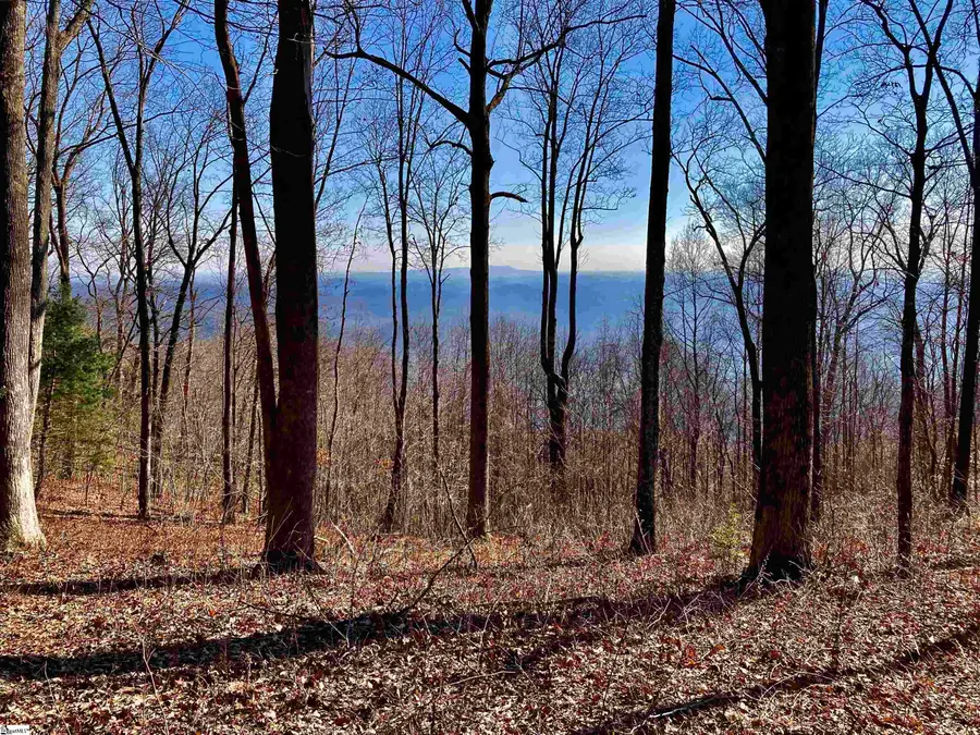 1000 Mountain Summit Road, Travelers Rest, SC 29690 - Image #3