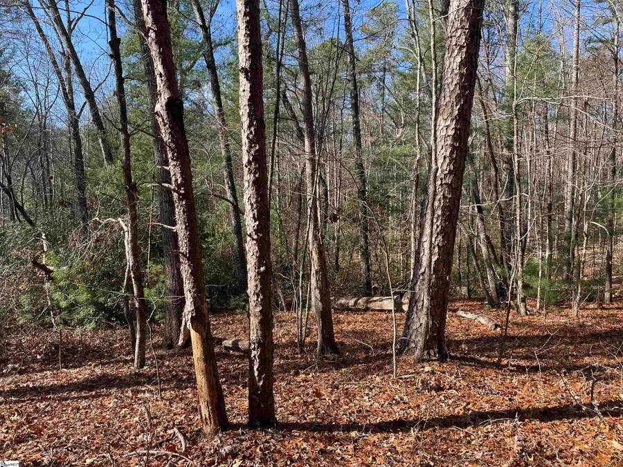 204 Jocassee Glenn Drive, Salem, SC 29676 - #2