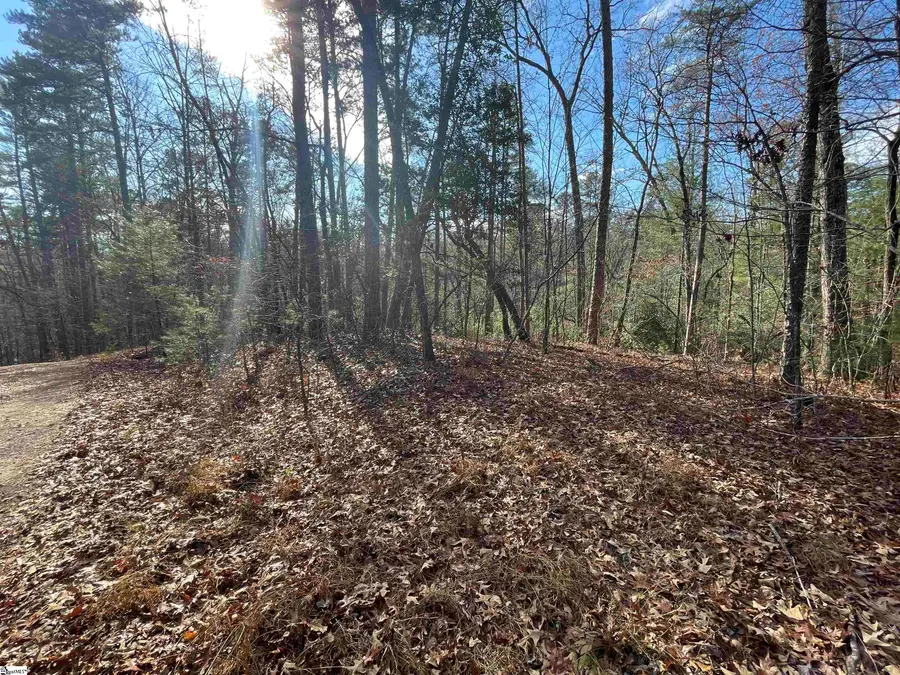 204 Jocassee Glenn Drive, Salem, SC 29676 - #3