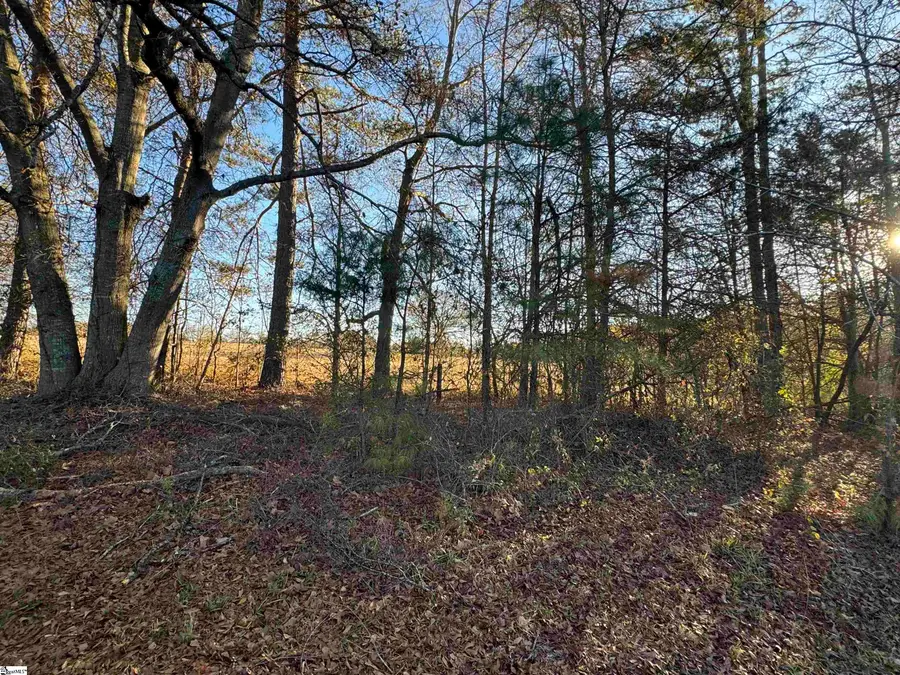 119 Pendleton Woods Circle, Central, SC 29630-9694 - #2