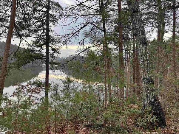 00 Jackson Cove Road #Lot 2, Mill Spring, NC 28756