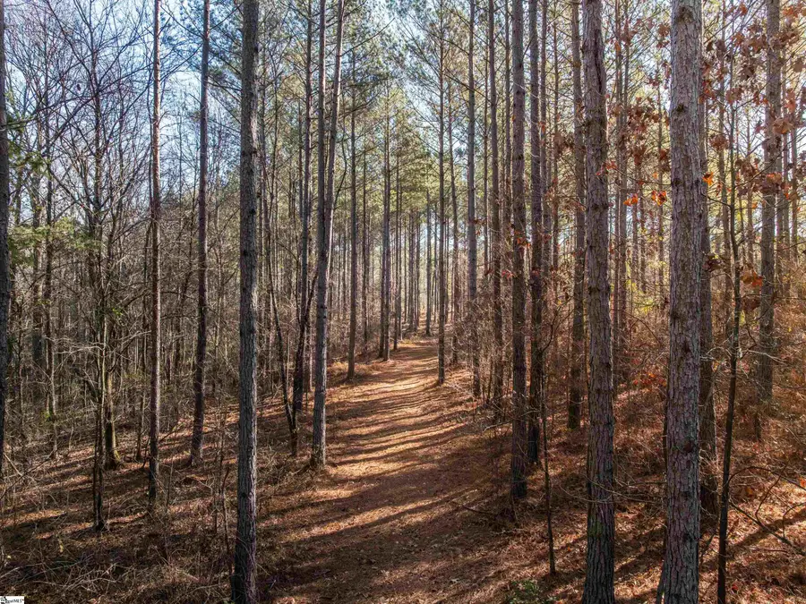 09 Mill Pine Road, Liberty, SC 29657 - Image #3