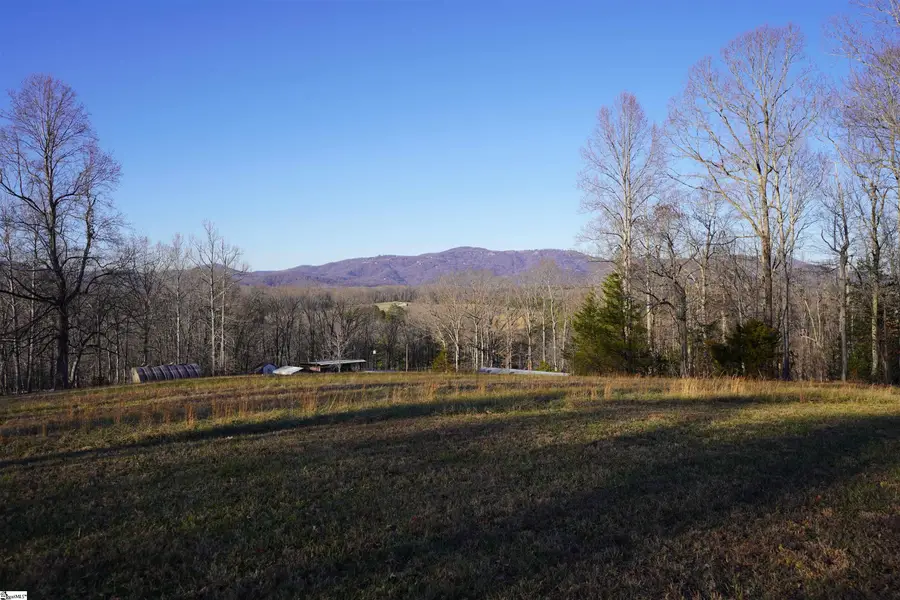 450 S Packs Mountain Road, Taylors, SC 29687 - Image #2