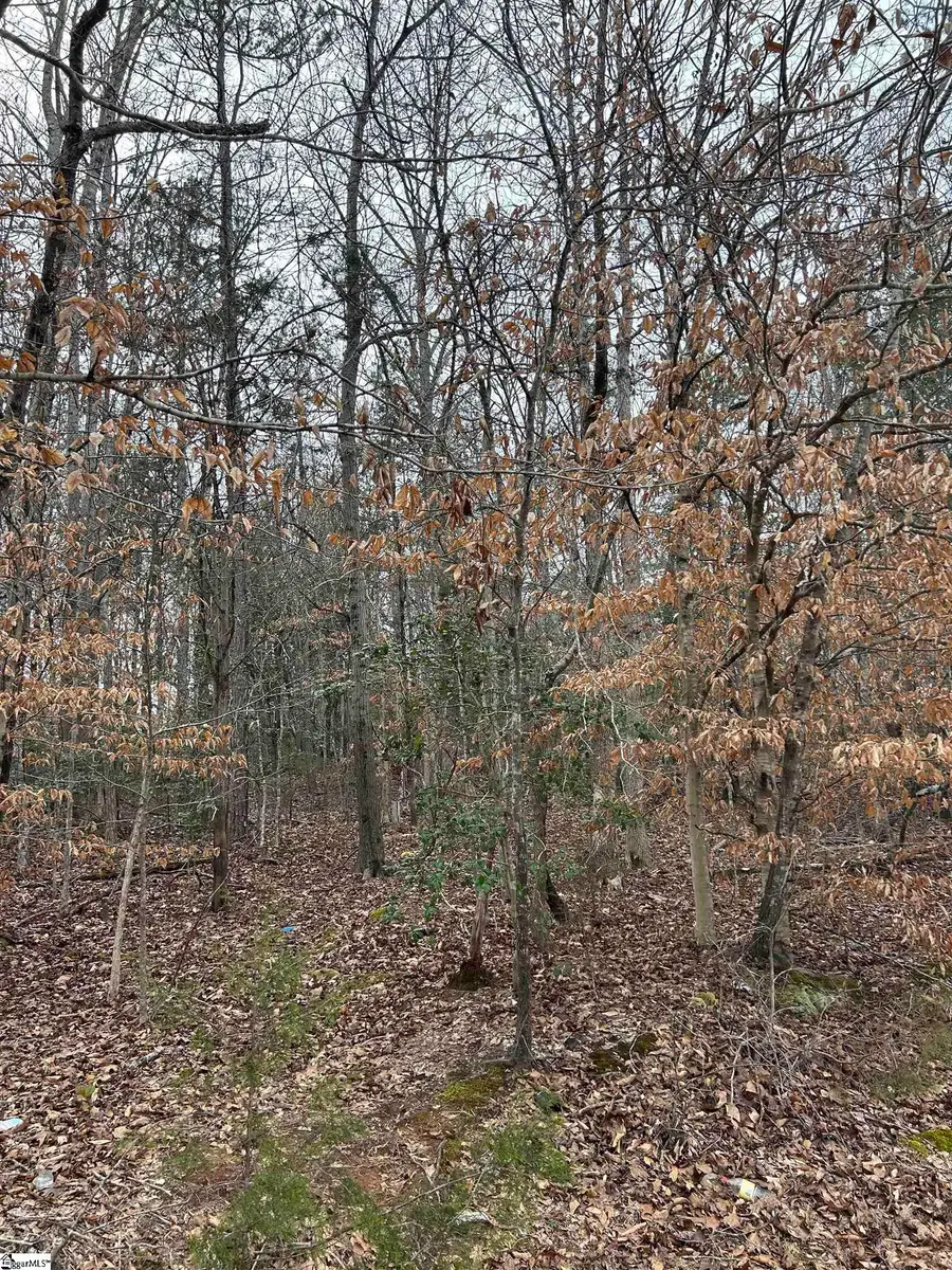 00 Woods Circle, Fountain Inn, SC 29644 - Image #2