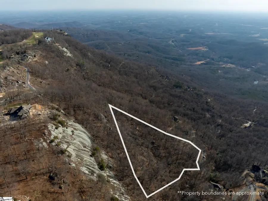 225 Lost Trail Drive, Landrum, SC 29356 - Image #3