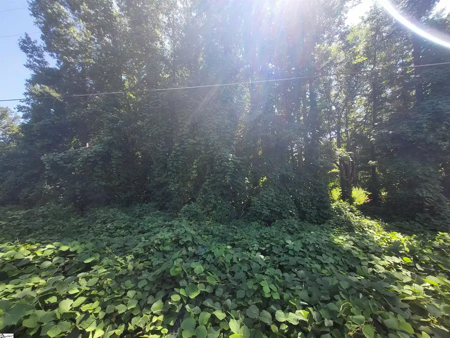 00 Clark Road, Inman, SC 29349 - Image #2