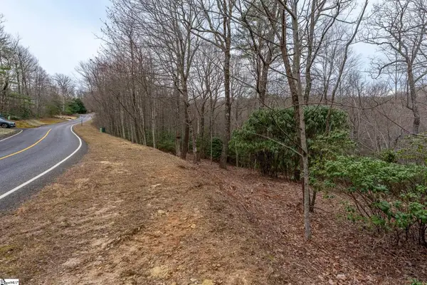 24 Blazing Star Trail, Landrum, SC 29356-3329