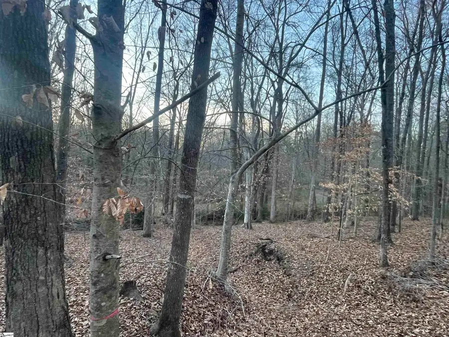 Hwy 221 N Greenwood Road, Laurens, SC 20360-0000 - Image #3