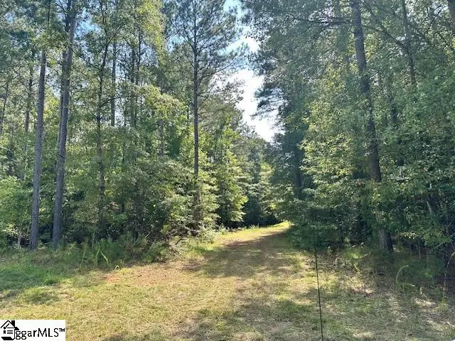 0 S J Workman Highway, Woodruff, SC 29388 - #3