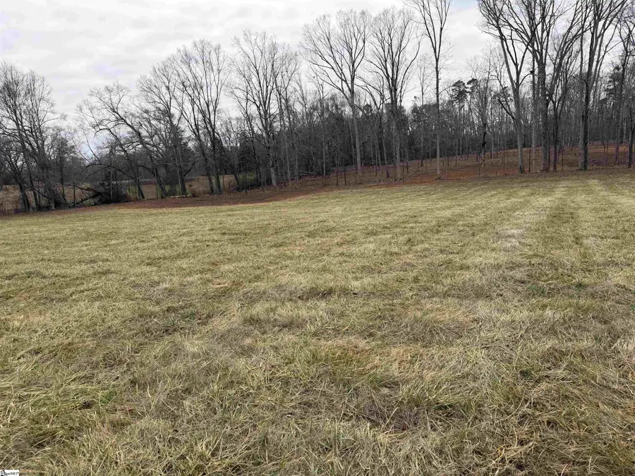 00 Berry Road, Pelzer, SC 29669 - Image #3