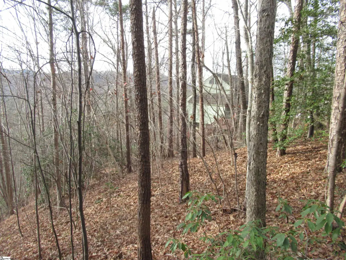 Lone Rock Court #Lot 10 Whispering Falls, Pickens, SC 29671 - Image #1
