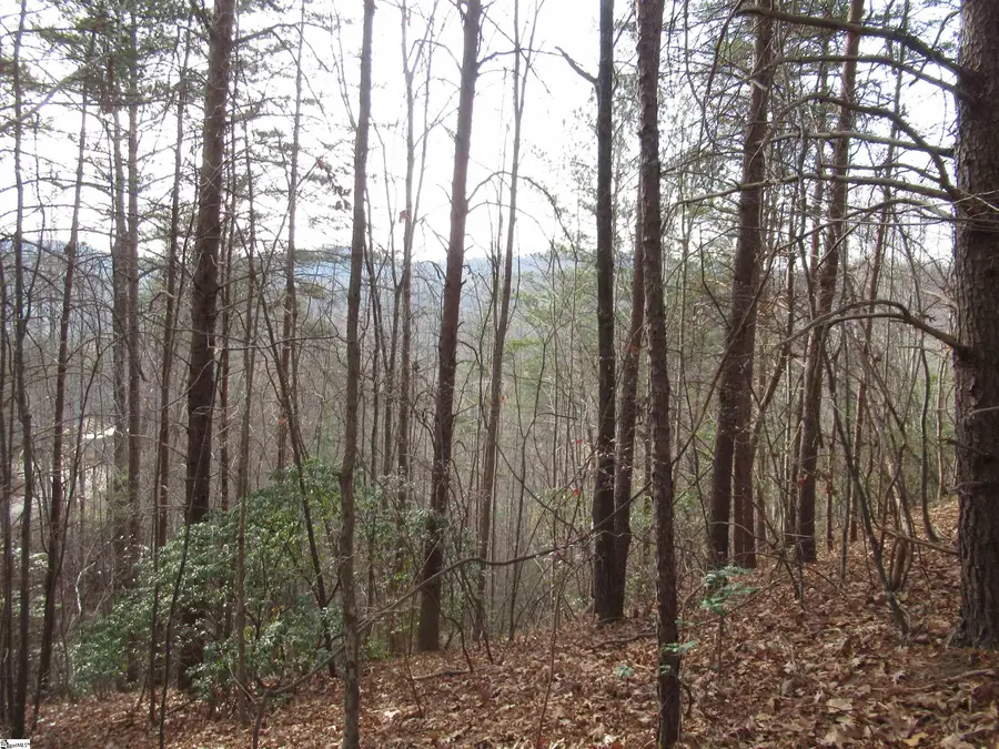 Lone Rock Court #Lot 10 Whispering Falls, Pickens, SC 29671 - Image #2