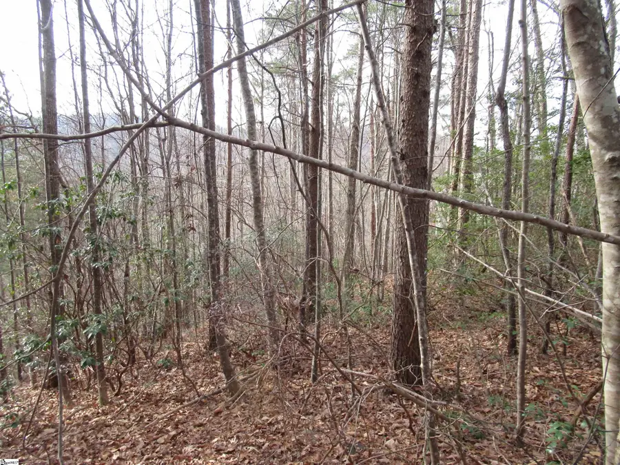 Lone Rock Court #Lot 10 Whispering Falls, Pickens, SC 29671 - Image #3