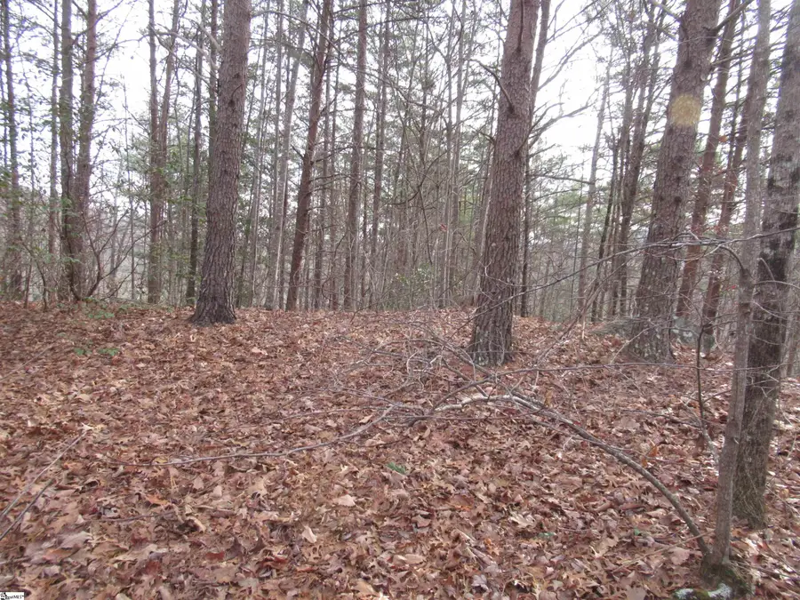 107 Lone Rock Court, Pickens, SC 29671 - Image #2