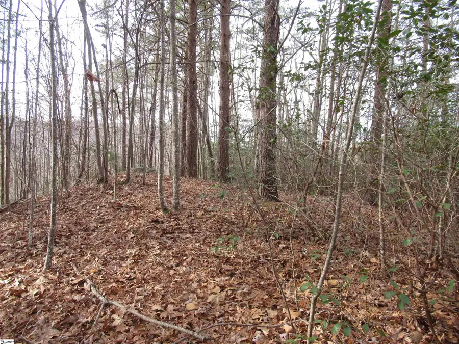 107 Lone Rock Court, Pickens, SC 29671 - Image #3