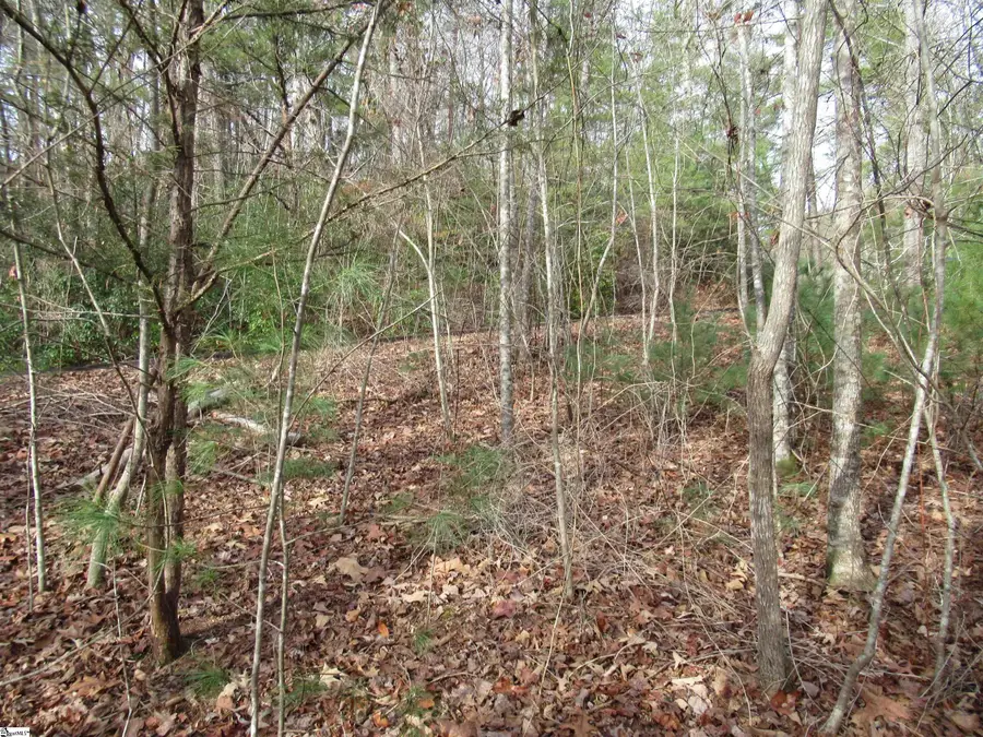 110 Fireside Lane, Pickens, SC 29671 - #2