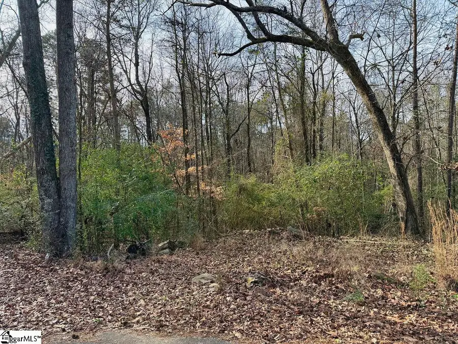 154 Dogwood Road, Townville, SC 29689 - Image #3