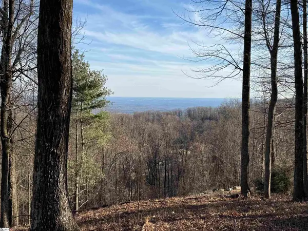 Lot 152 Goldenrod Way, Landrum, SC 29356