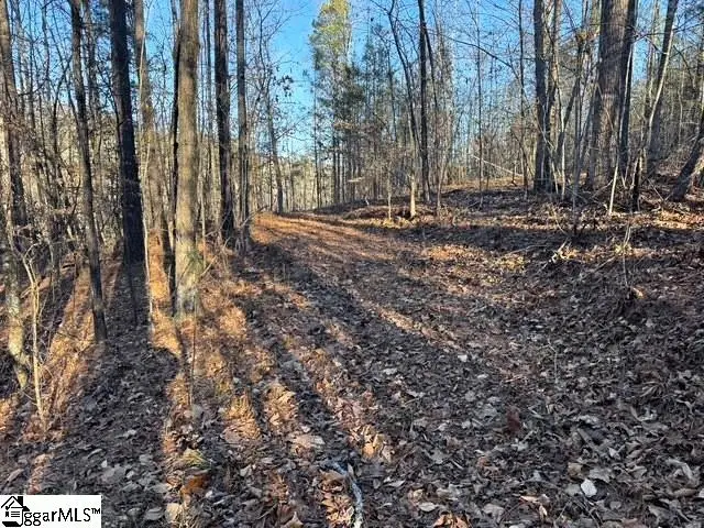 Lakeside Drive, Six Mile, SC 29682 - Image #3