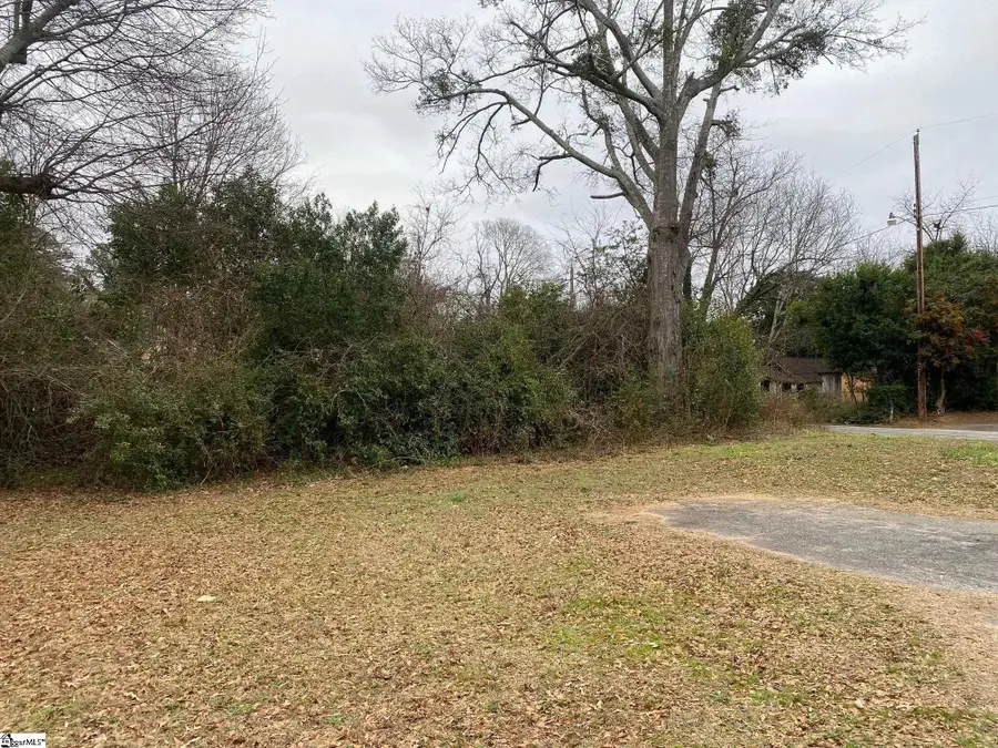 719 Chestnut Street, Laurens, SC 29360 - #3