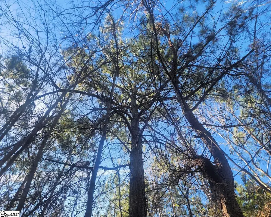 Holiday Dam Road, Belton, SC 29627 - Image #2