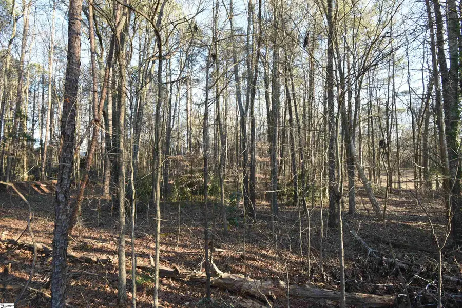 0 Pamela Lane, Laurens, SC 29360 - #2