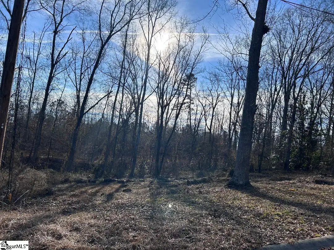 100 Lakeview Drive, Fountain Inn, SC 29644 - Image #1