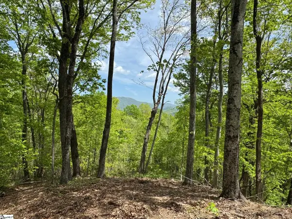 100 Wood Violet Trail, Marietta, SC 29661