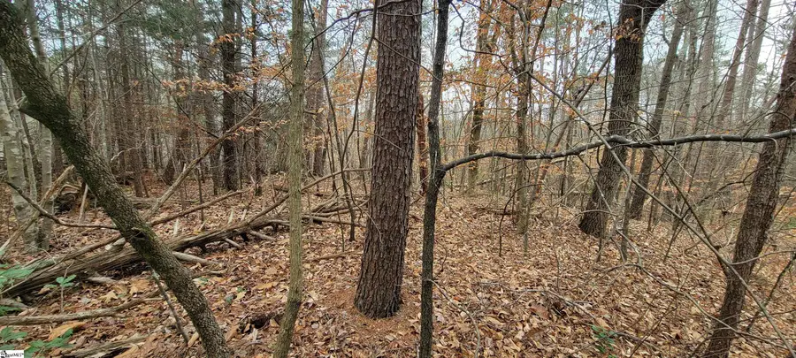 311 Sugarbush Court, Westminster, SC 29693 - #3