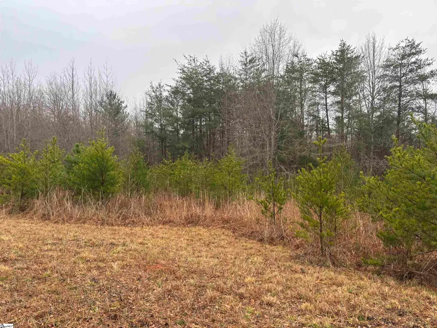 0 Hwy 414, Landrum, SC 29356 - Image #2