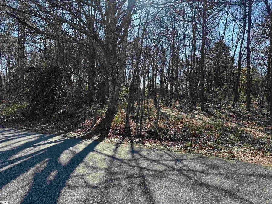 116 Berry Drive, Greenville, SC 29607 - #3