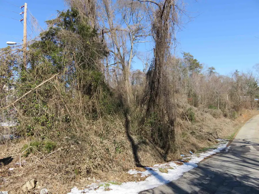 160 Lincoln Road, Taylors, SC 29687 - Image #2