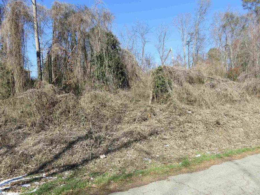 160 Lincoln Road, Taylors, SC 29687 - Image #3