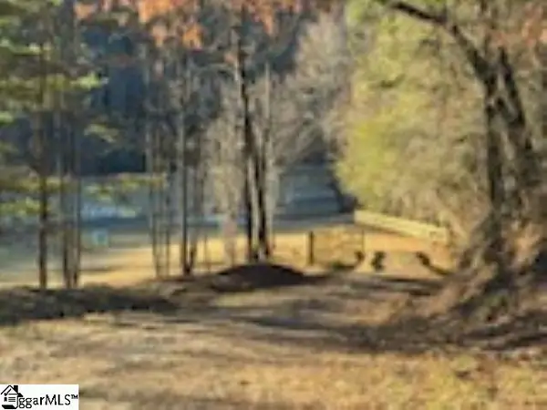 0 Green River Road, Zirconia, NC 28790