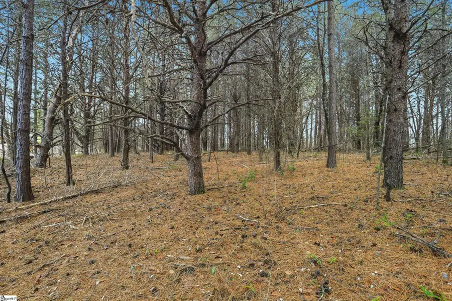 0 Hulon Howard Road, Landrum, SC 29356 - Image #2