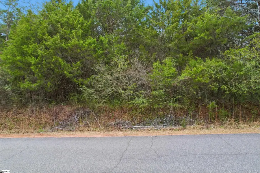 0 Hulon Howard Road, Landrum, SC 29356 - Image #3