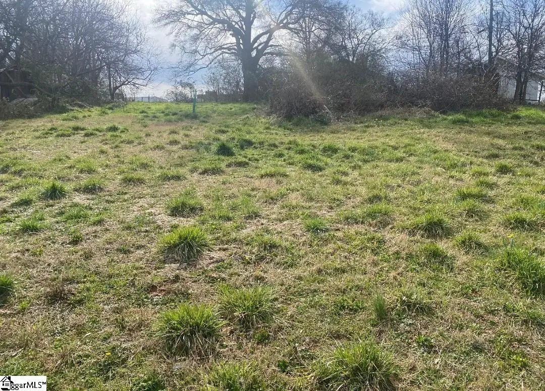 207 Summeral Street, Clinton, SC 29325 - #1