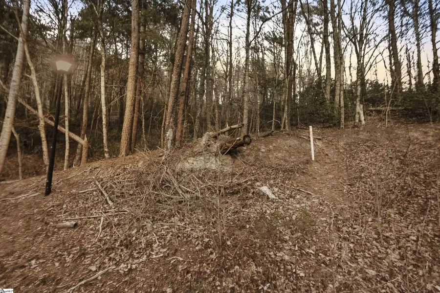 Lot 17 Hidden Glory Drive, Landrum, SC 29356 - #2
